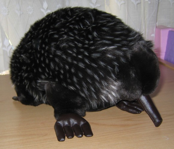 Edna the Echidna soft toy