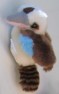 kookaburra fridge magnet