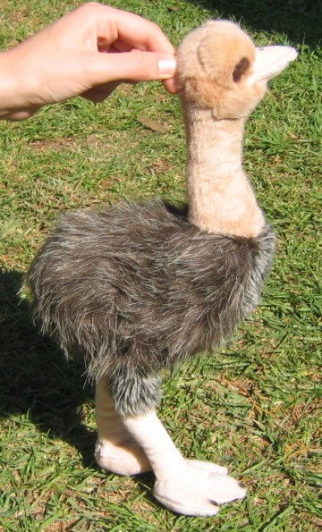 emu soft toy