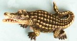Crocodile magnet