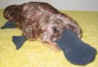 Premium quality platypus soft toy