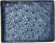Black ostrich wallet