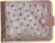 Ostrich leather wallet