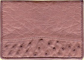 Kango color ostrich wallet