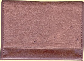 Kango color ostrich wallet back side