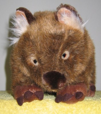 The best wombat toy