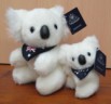 White koala toys
