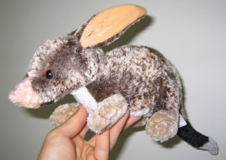 Australian bilby