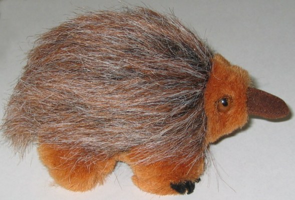 echidna beanieb toy