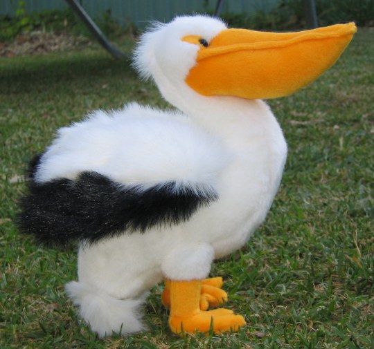Pelican soft toy