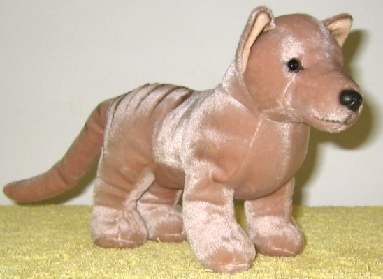 Tasmanian Tiger soft toy