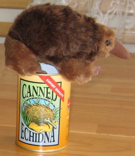 Canned  echidna toy