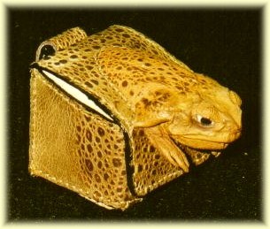 Exotic Christmas golf gift - cane toad leather golf ball case