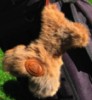 Kangaroo fur golf ball warmer 