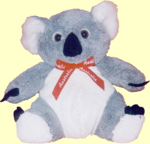 koala teddy bear