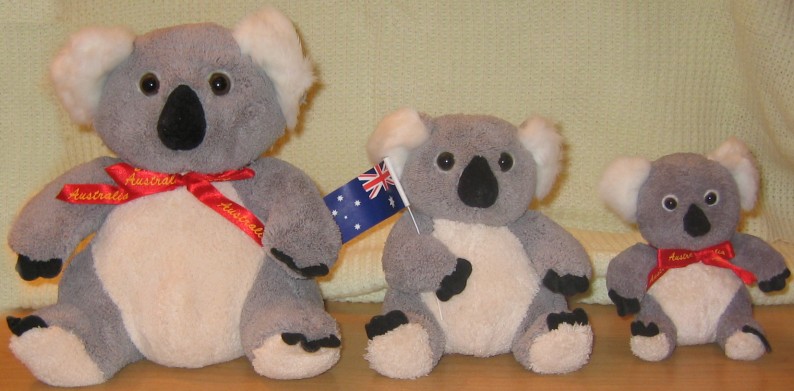 Soft and super squishy koala Teddy bears