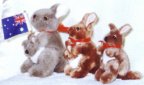 Small kangaroo toys