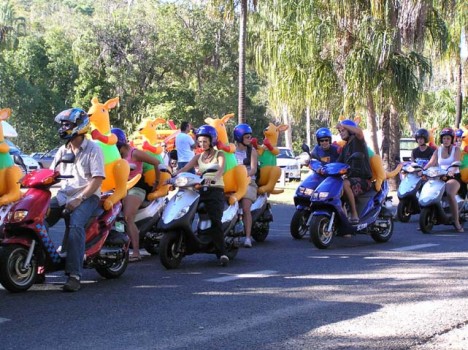 Inflatable kangaroos on streets of Australia