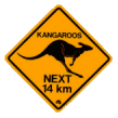 Kangaroo refrigerator magnet
