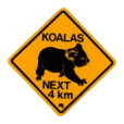 Koala refrigerator magnet