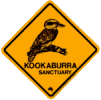 Kookaburra refrigerator magnet