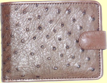 full quill ostrich leather credit card wallet for man shown in kango color