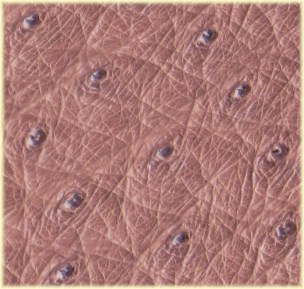 ostrich leather pattern enlarged