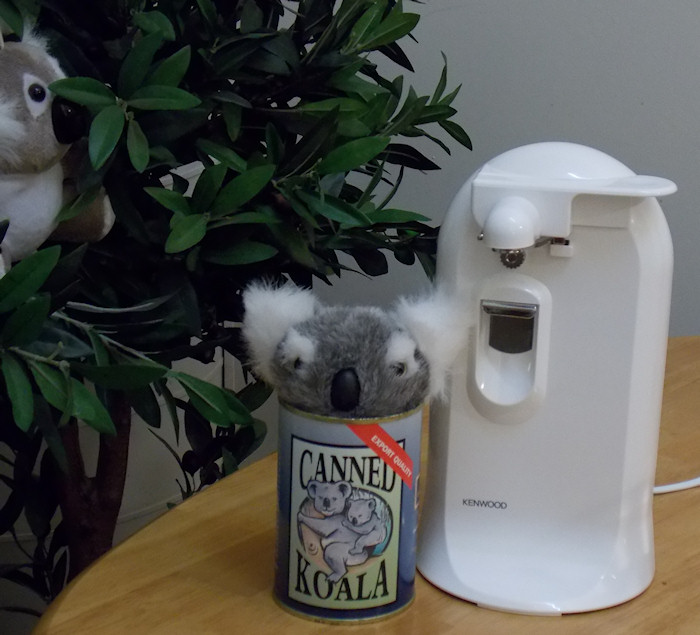 canned koala for dinner - episod 7